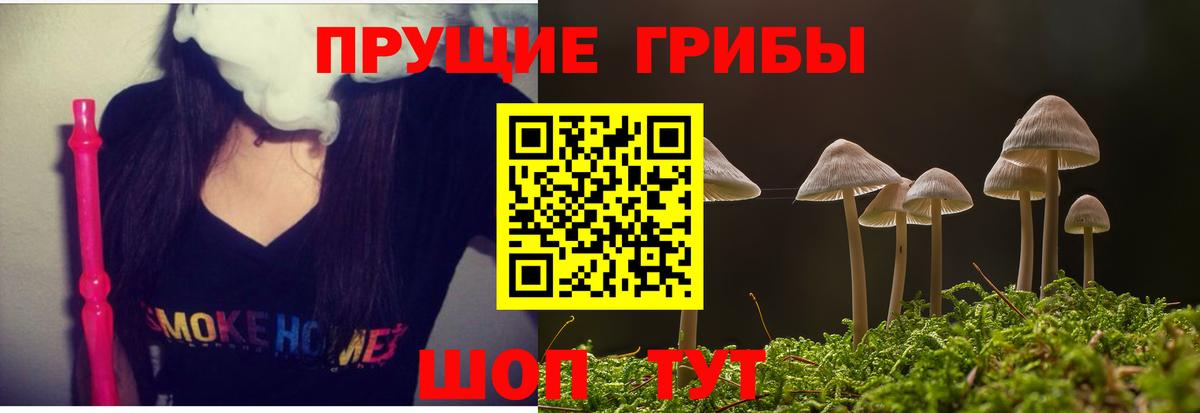 Ростов-на-Дону  Псилоцибиновые грибы GOLDEN TEACHER  Вход с VPN 